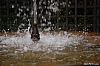 121014_2023_versailles.jpg